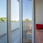 Nicolao Modern